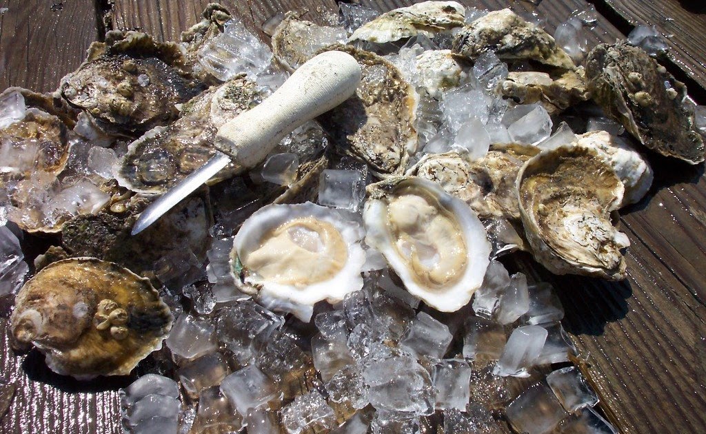 A Virginia Oyster Lovers Paradise How to Handle and Prepare Unshucked