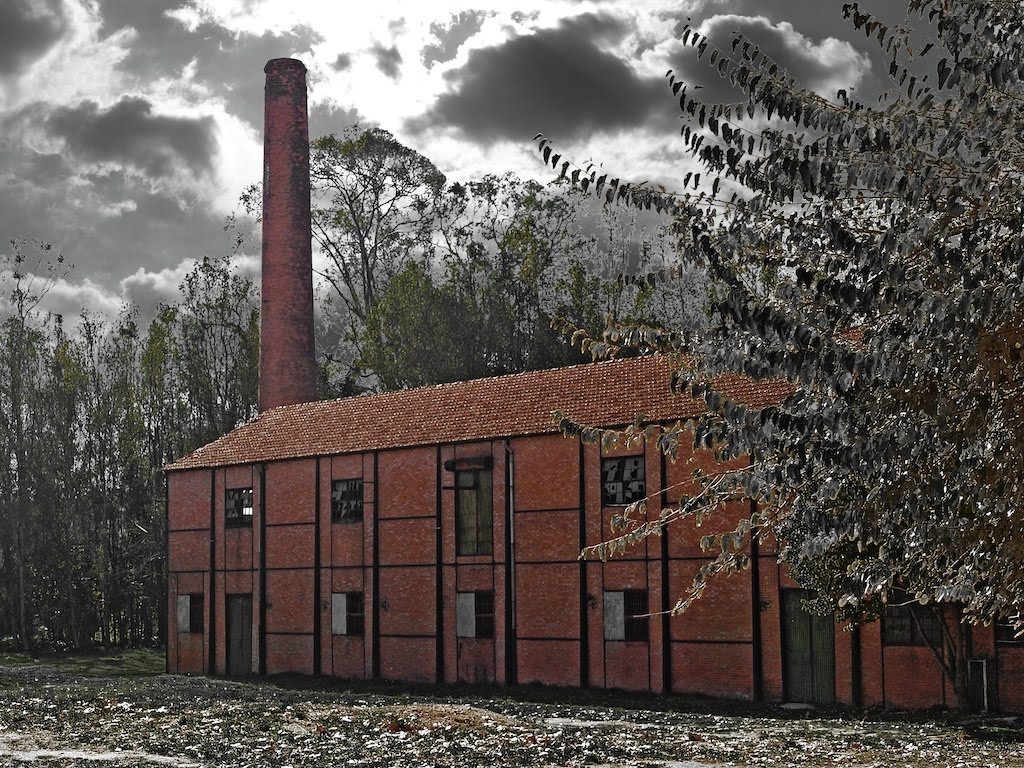 [Ruin'Art-86.jpg]