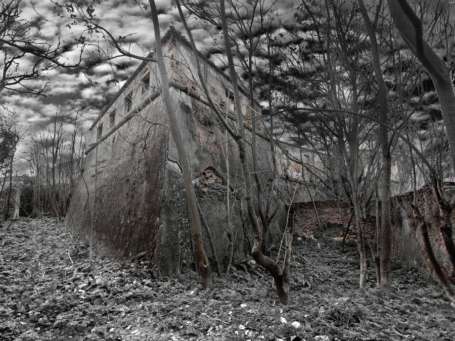 [Ruin'Art-481.jpg]