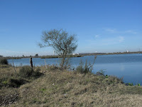 Laguna - foto: Rafael Gonzalez