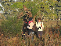 Observadores - foto: Rafael Gonzalez