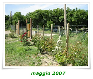 Il Mondo In Un Giardino Bacche Per Tutti I Gusti E Tutte Le Stagioni