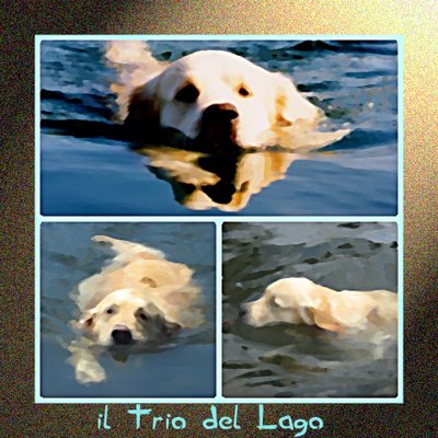 IL TRIO DEL LAGO