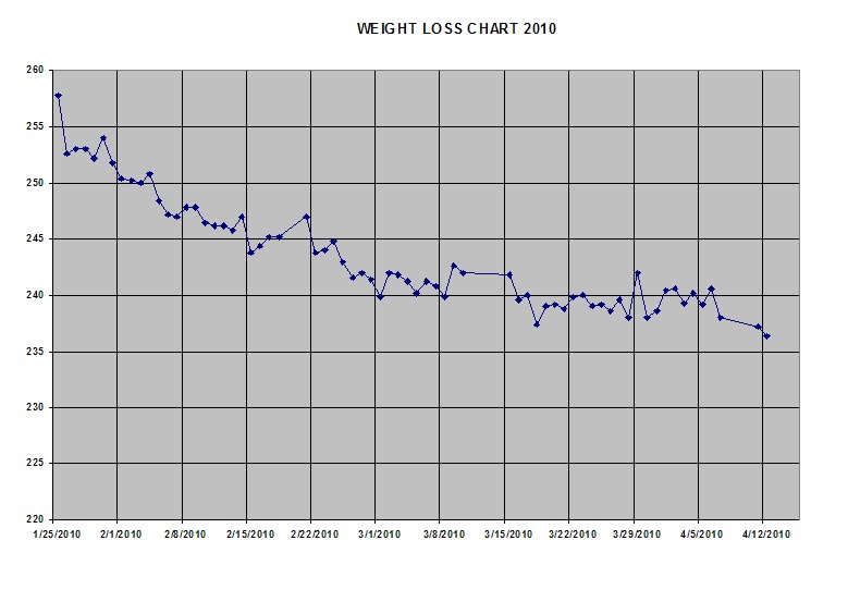 Loss Chart