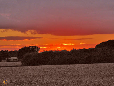 Sunset Grey Towers Ingrid Sylvestre North East artist Sunset Grey Towers Ingrid Sylvestre North East artist