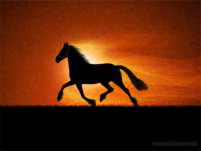 horse wallpaper. running horses wallpaper.