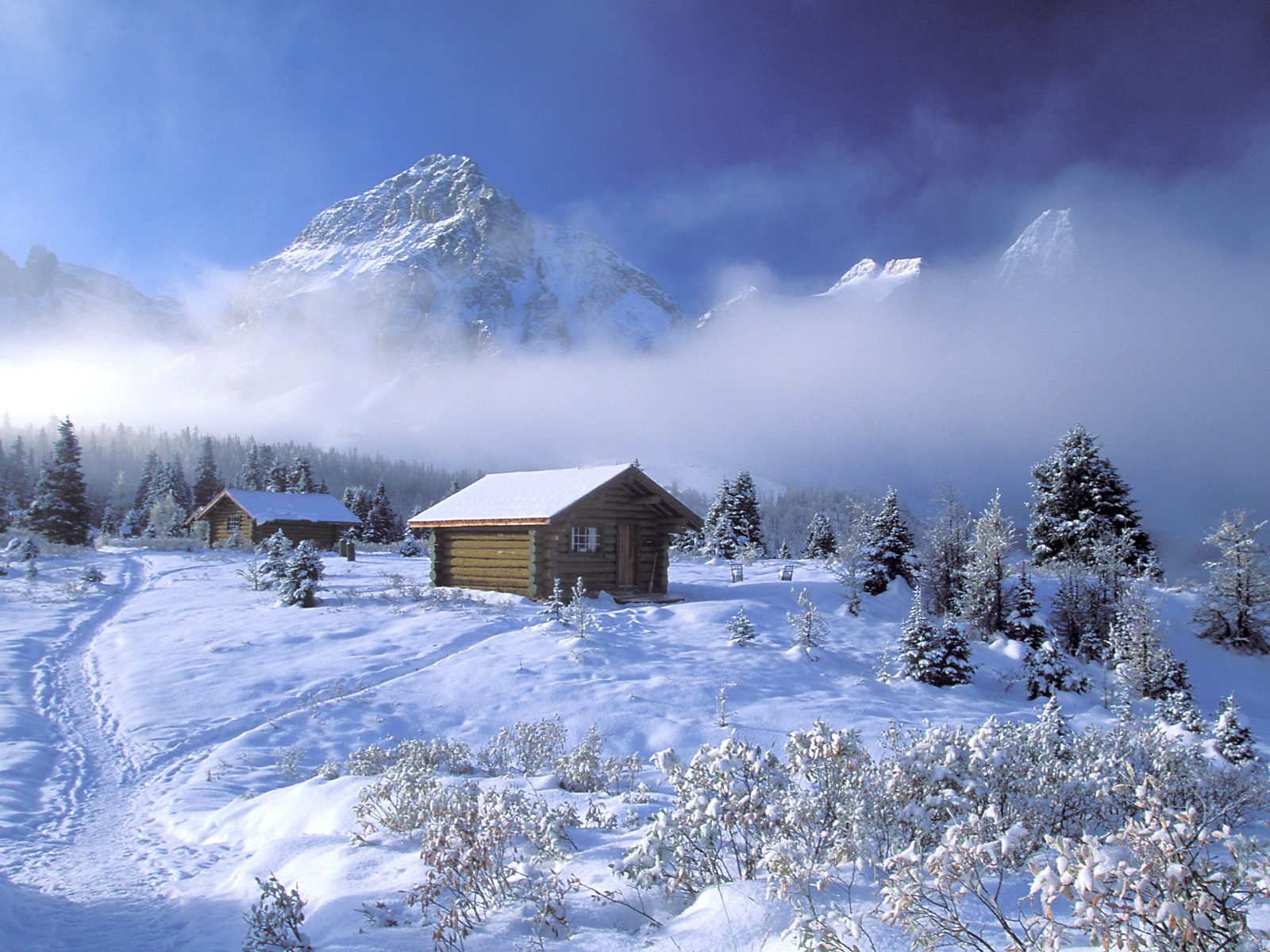 wallpaper christmas wallpaper christmas