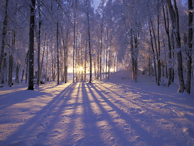 winter nature wallpapers