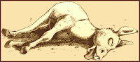 Dead Donkey