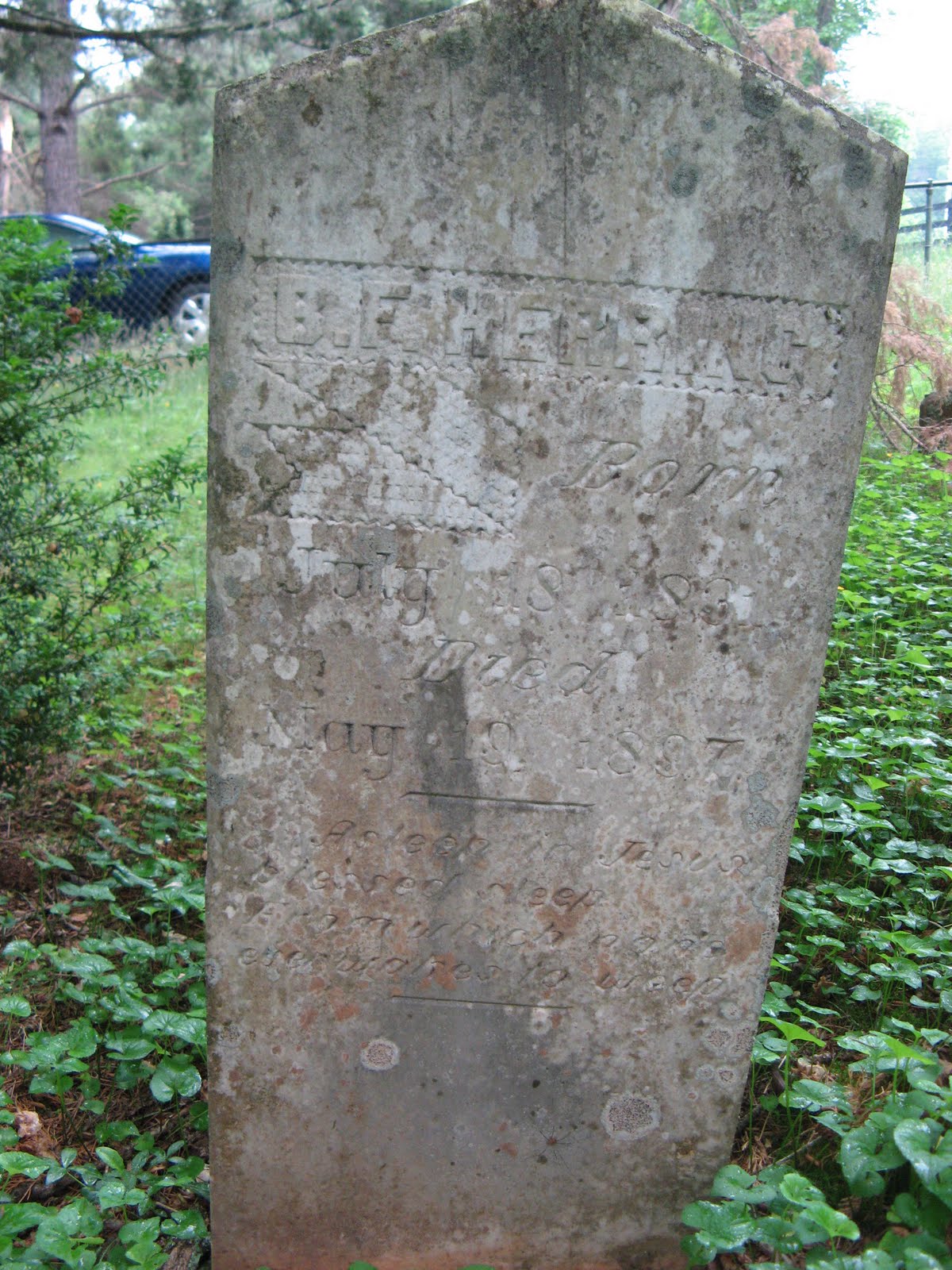 Family Tree Herring Family Cemetery vrogue.co