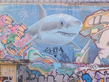 shark in the town
