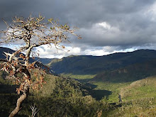 quelque part perdue en Bolivie