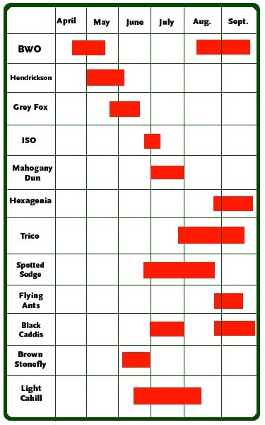 ontario hatch charts grand river ontario hatch chart grand river flow chart