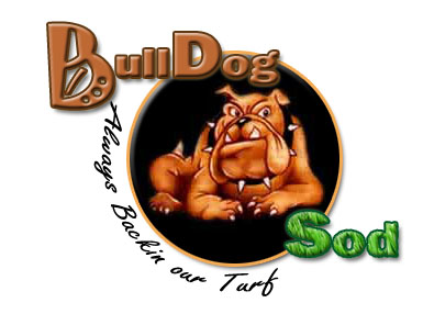 BullDog Sod