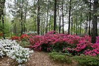 Explore Southern History: March 2009 Explore Southern History: March 2009