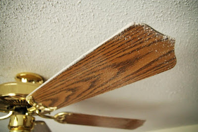 Making A House A Home Ceiling Fans Oh My