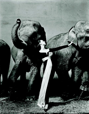 richard avedon prints