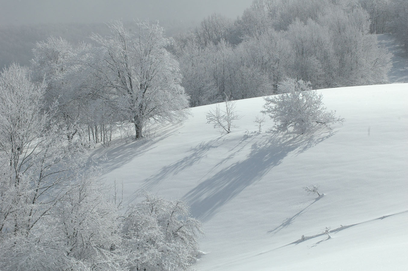 [hillside+011010.jpg]