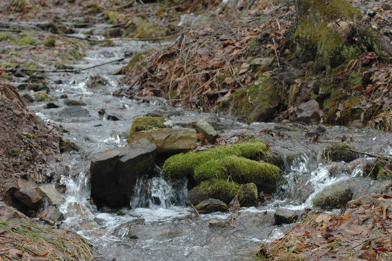 [spring+thaw+0310.jpg]