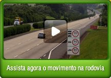 MOVIMENTO PARA O LITORAL