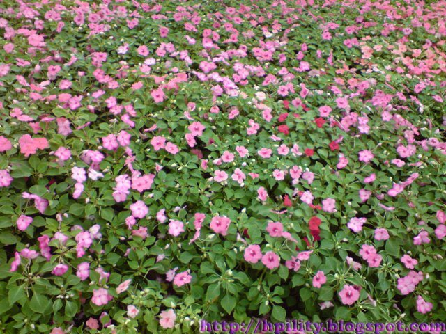 [DSC02679.JPG]
