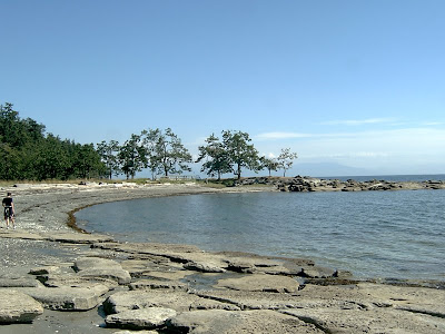 Newcastle Island