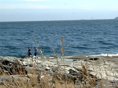 Newcastle Island