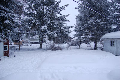 Backyard with snow