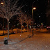 2010 Nevada y colapso ... ¿Político?