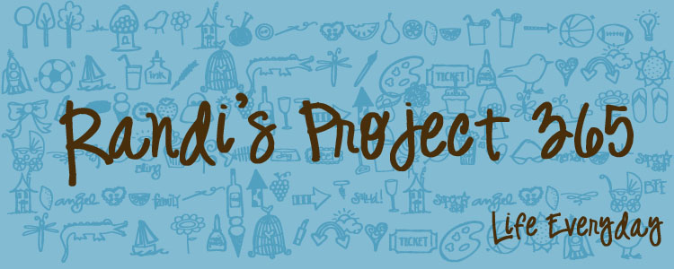 project 365