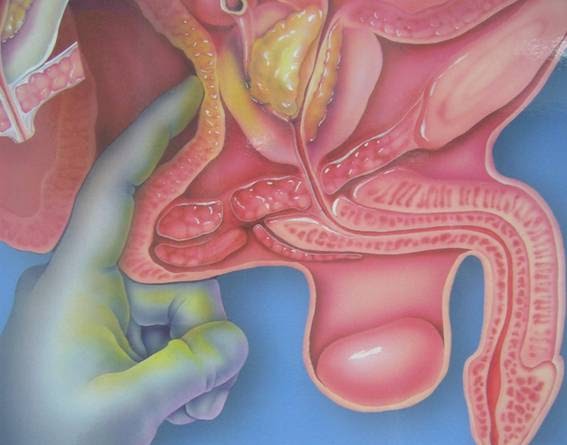 prostata sex porr samlag prostata sex porr samlag