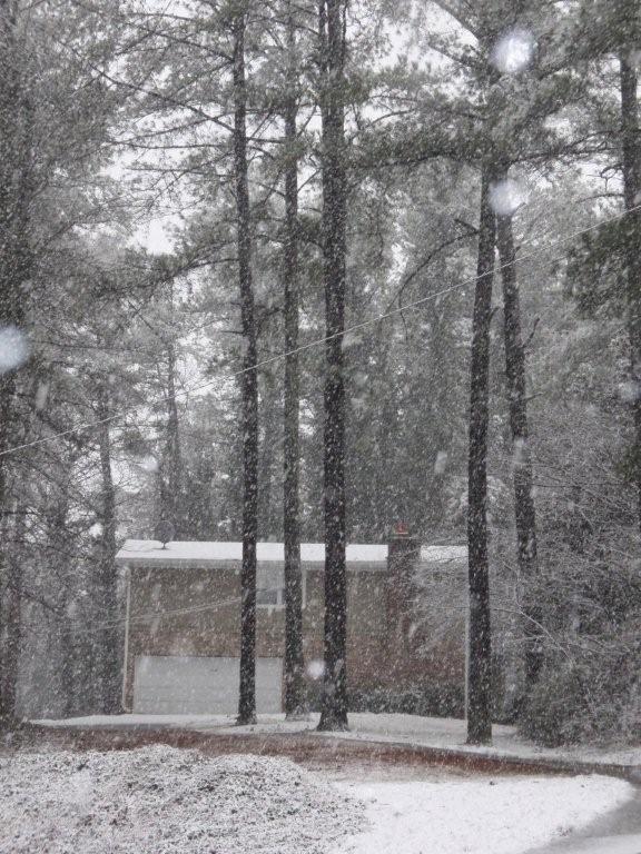 [20090301+SnowDJM06.jpg]