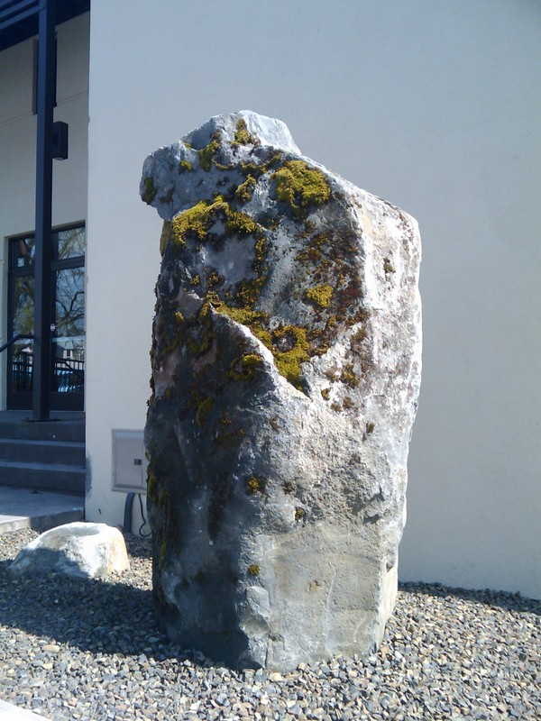 [20090403+DharmoRock02.jpg]