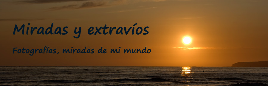 Miradas y extravíos