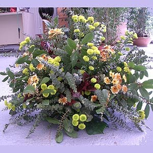 Hermosas naturellement 2happy writing stockvault primavera explosión de vida