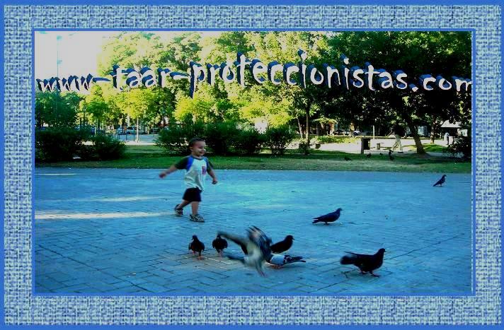 www-taar-proteccionistas.com