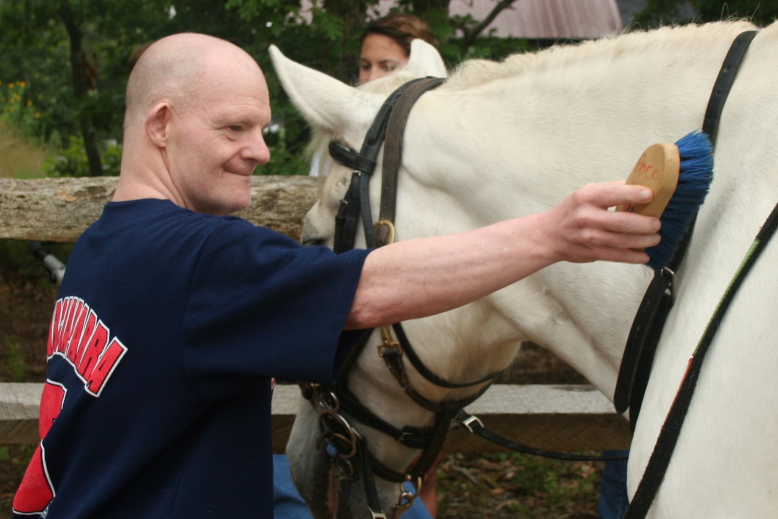 [horse-skip.JPG]
