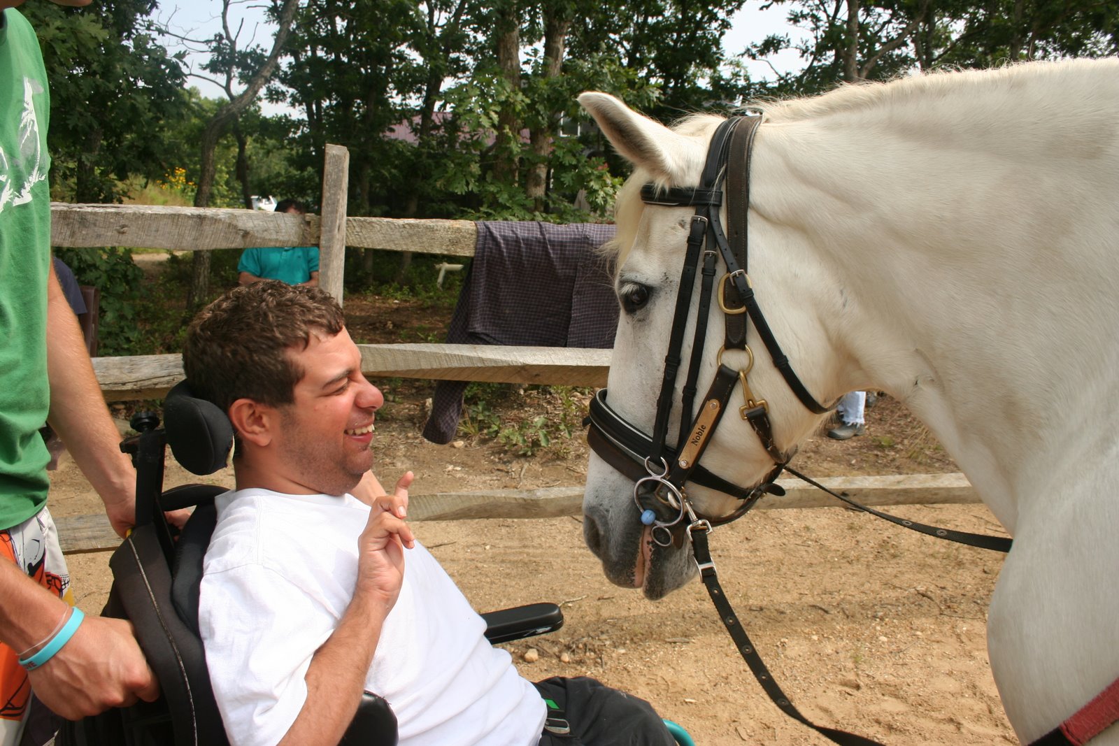 [horse-justin.JPG]