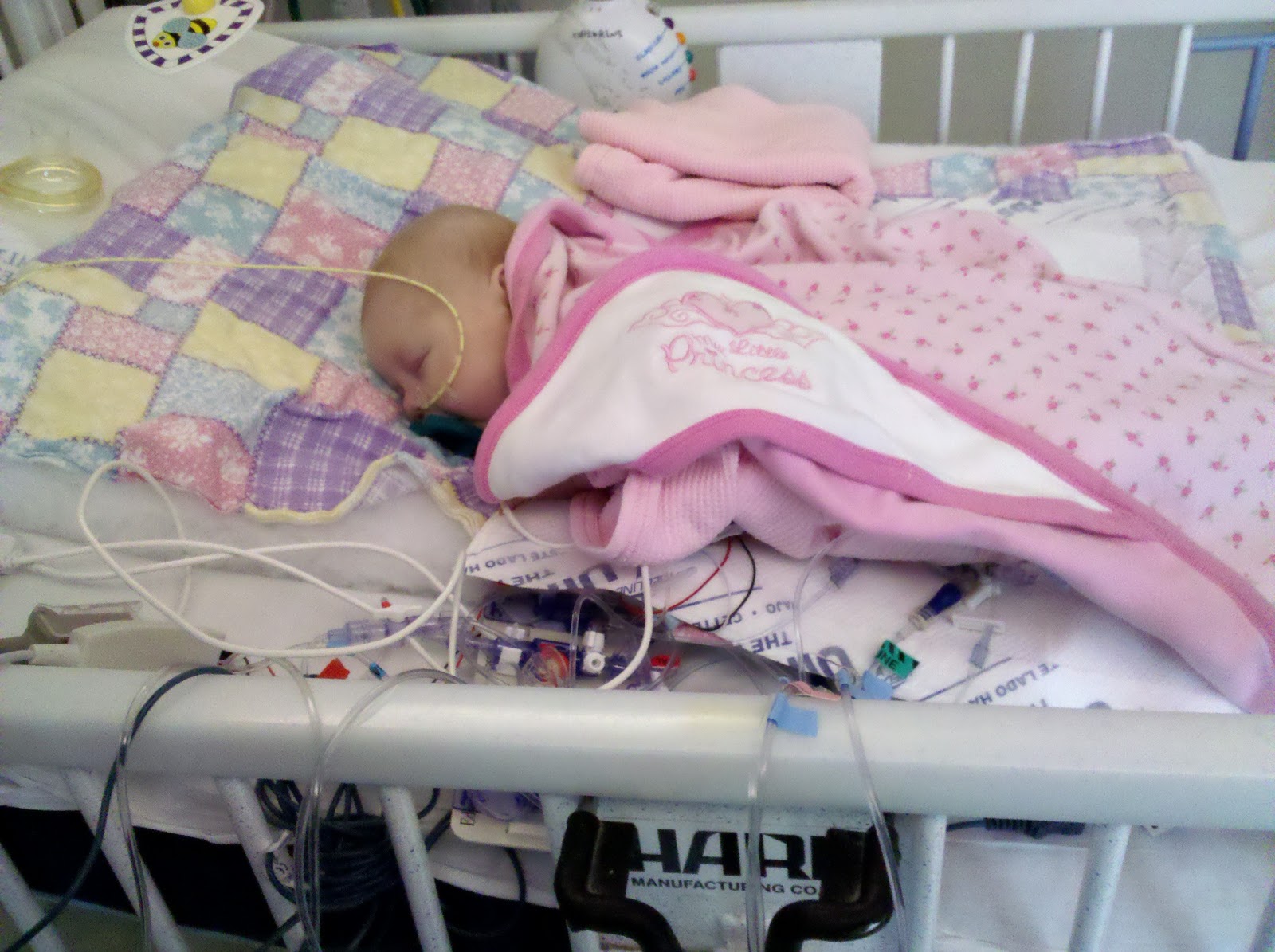 Lillian's Heart Journey Hoping for Recovery After the Cardiac Cath