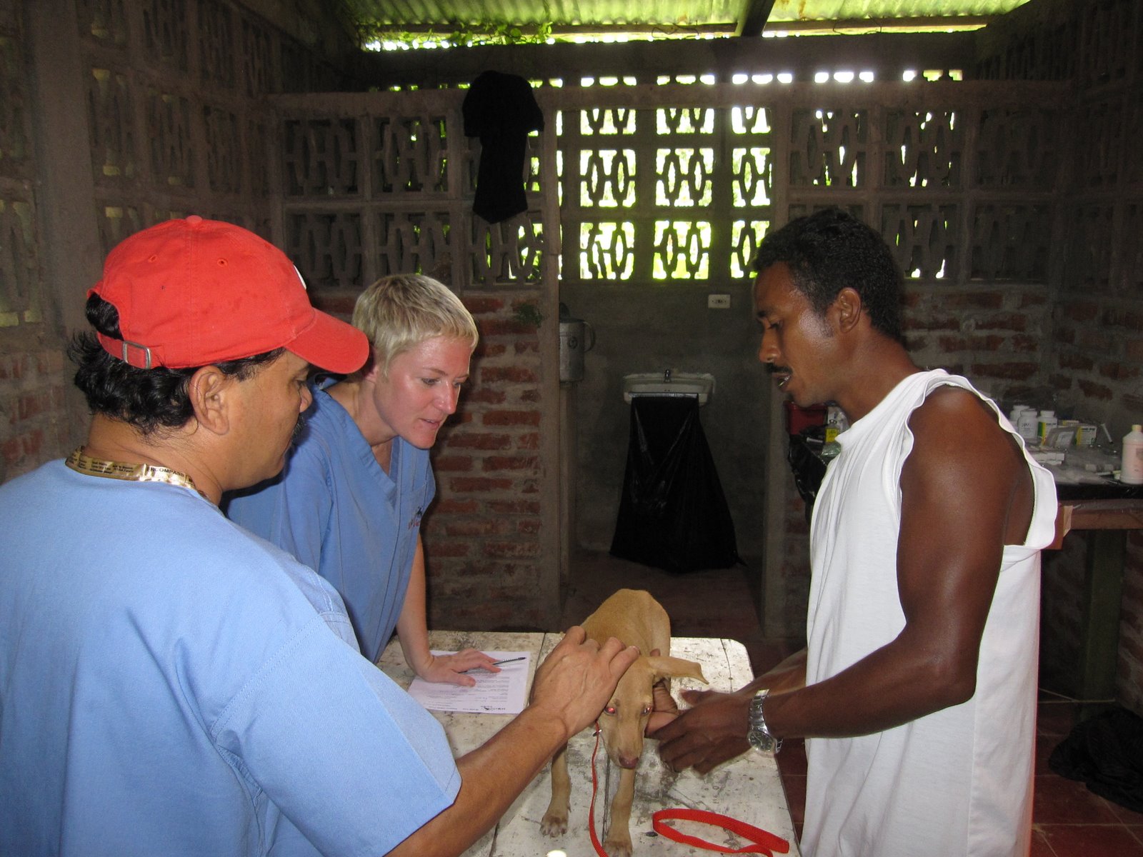 [IMG_0350.JPG]