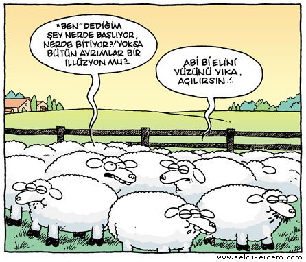 Mutlu Baris Psikolog Aile Danismani Yasam Kocu