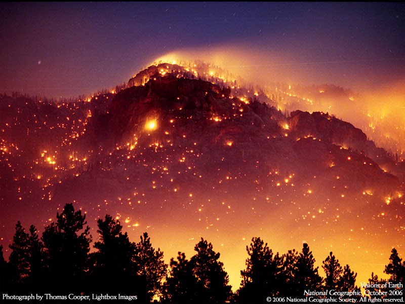 [PikeNForestCo2002fire.bmp]