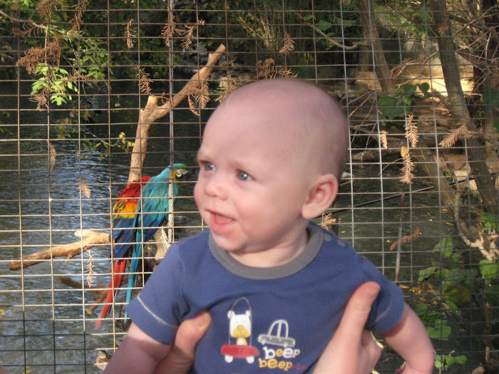 Alex's first trip to the zoo