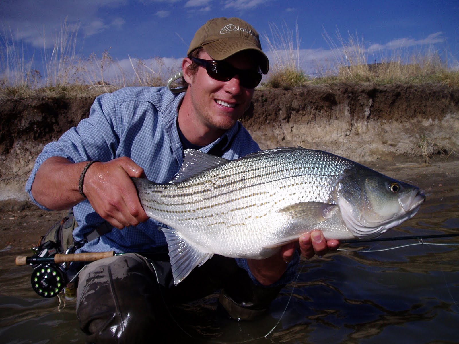 Colorado Fly Fishing Reports The Art of the Grip & Grin How to take