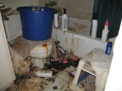 houston_mess_apartment_slob_disgusting_10.jpg