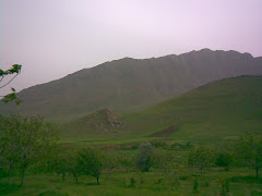 کوه کرکس-روستای پیریوسف(همدان)