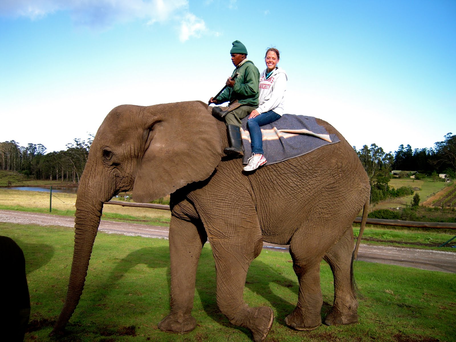 a room with a view: riding on an elephant!
