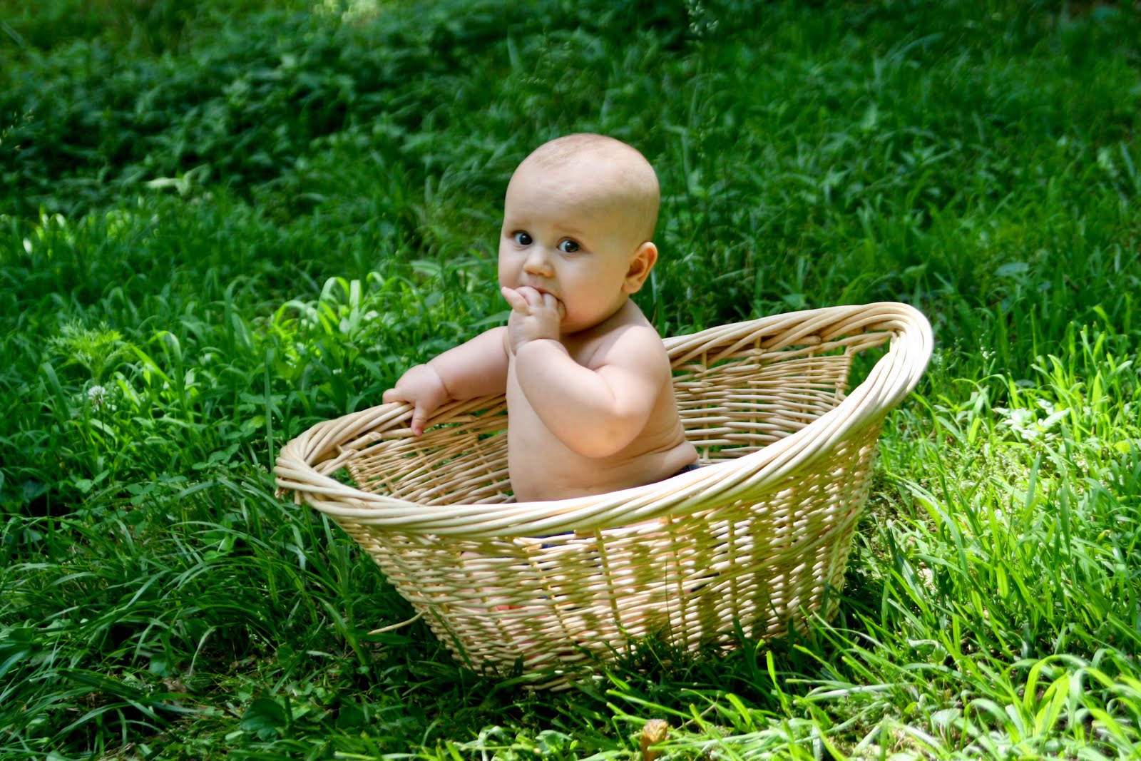 Julie White Photography Baby in a Basket