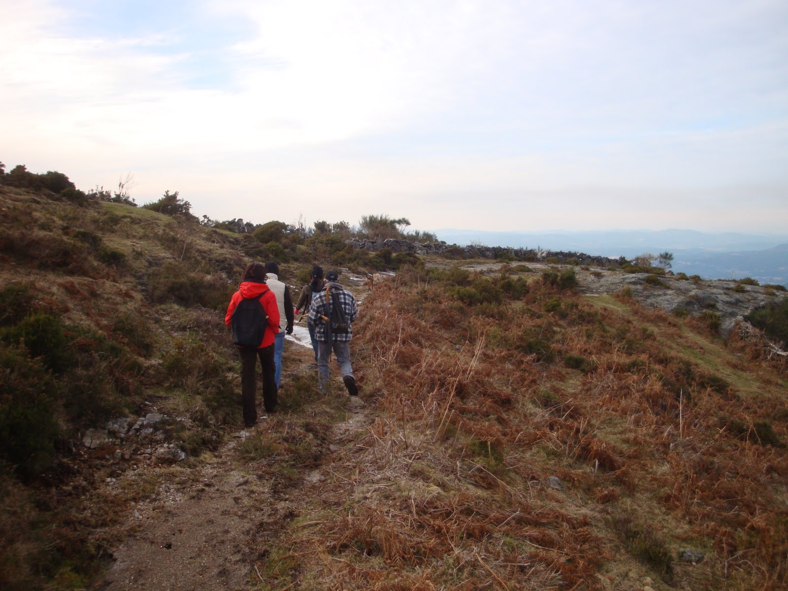 [DSC04642.JPG]