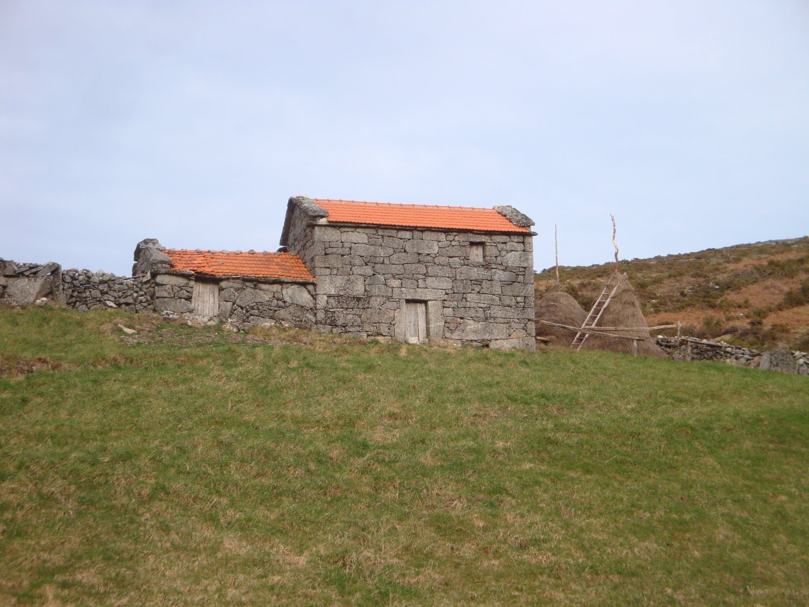 [DSC04640.JPG]
